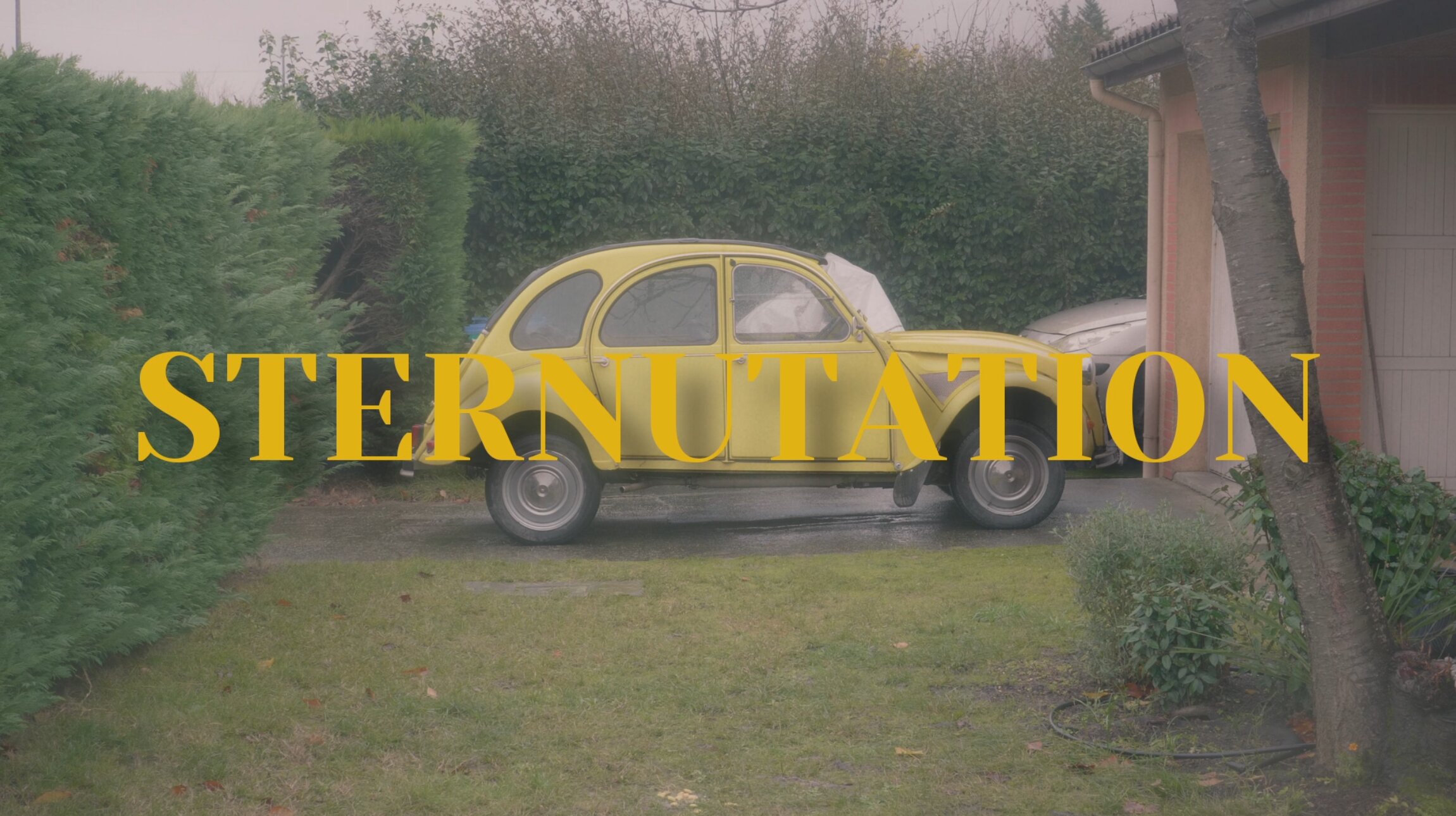 Sternutation